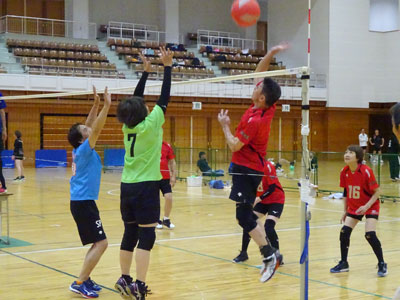 ソフトバレーボール